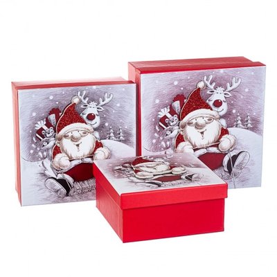 Набір із 3 коробок "Санта і Сільдоф" 20*20*9,5 (8211-003) 8211-003 фото