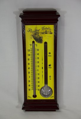 Термометр і індикатор погоди, штормглас, Storm glass (11628) 11628 фото