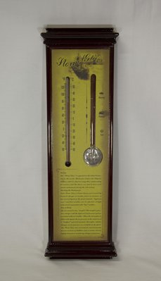 Термометр і індикатор погоди, штормглас, Storm glass (18630) 18630 фото