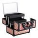 Кейс - шкатулка с зеркалом " Красота в деталях" 17*24.5*19см., метал, пластик (9205-026) 9205-026 фото 3
