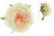 Декоративна квітка Троянда на кліпсі, кремовий у снігу, у пакованні 33 шт. 758-332 758-332 фото