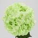 Искусственная Гортензия 93см, бутон 26см., ткань, пластик, (2035-001/White-green) 2035-001/White-green фото 2